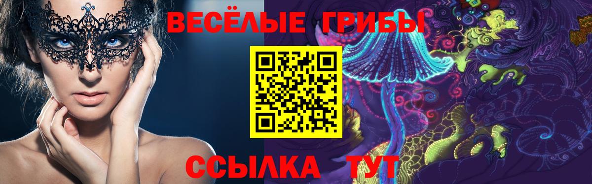 Галлюциногенные грибы ЛСД  Вход с VPN  Королёв 